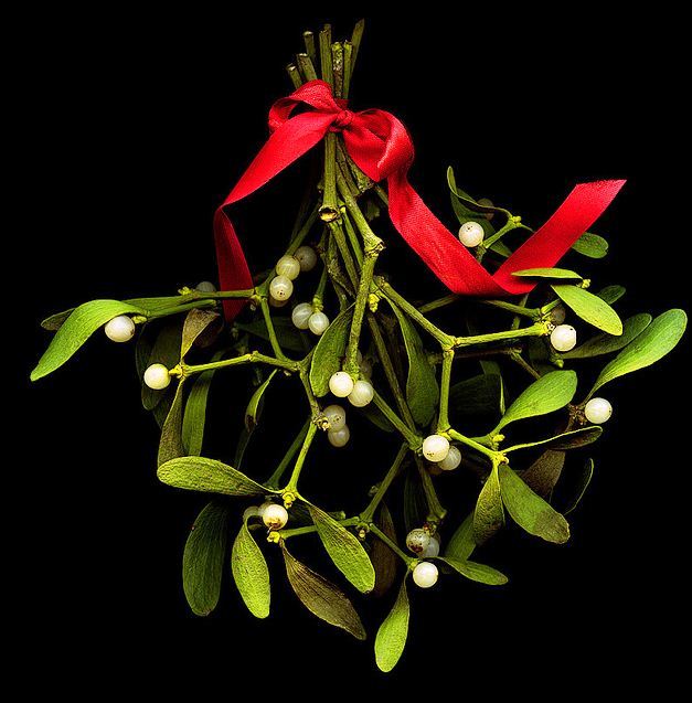 Kissing under the mistletoe